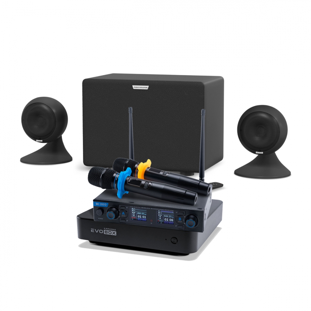 караоке-комплект EVOBOX + EvoSound Sphere 2.1 в Чечне