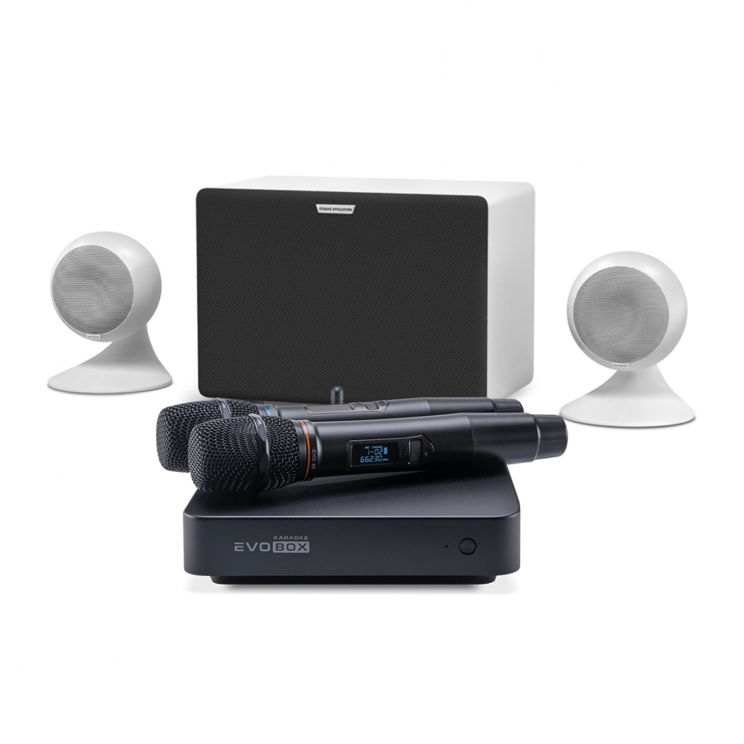 караоке-комплект EVOBOX Classic + EvoSound Sphere 2.1 в Чечне