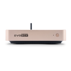 EVOBOX Classic караоке-система для дома в Чечне