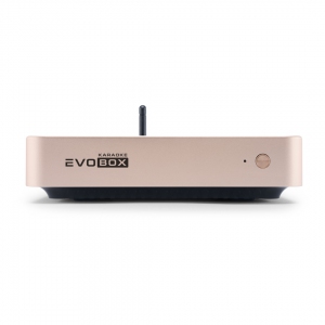 EVOBOX Plus караоке-система для дома в Чечне