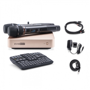 EVOBOX Plus караоке-система для дома в Чечне