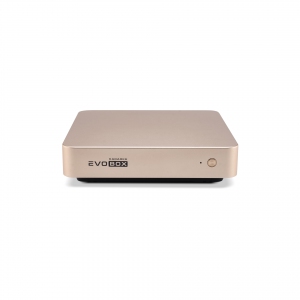 EVOBOX с микрофонами в Чечне